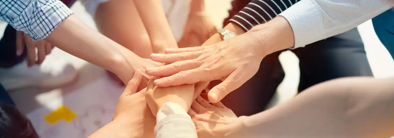 become a contributor